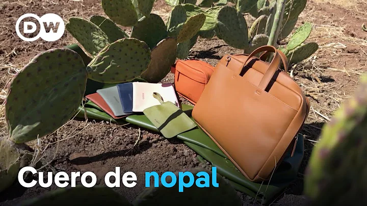 Un sustituto ecológico y duradero para la piel vacuna