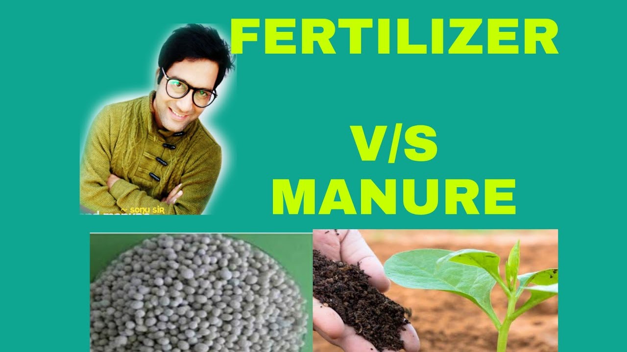 class 8 science crop production and management question answercrop production and management