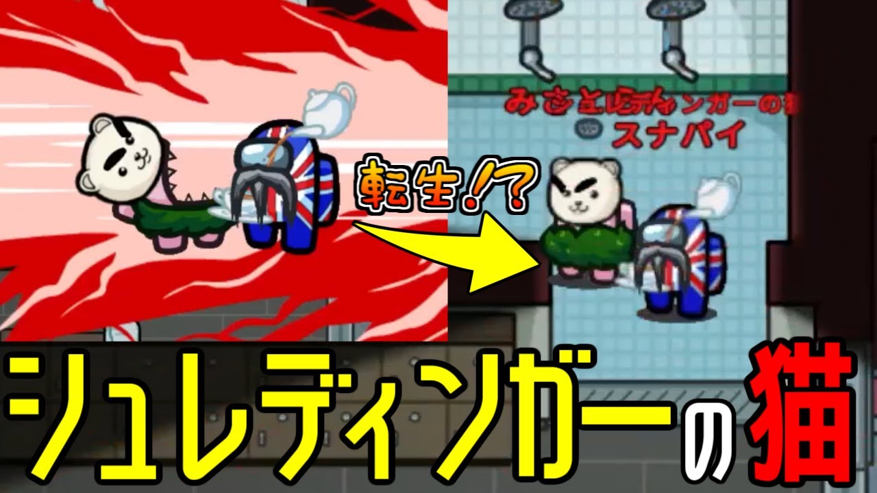 【禁断の猫箱】急に猫COして陣営不明のまま暴れました【Among Us】