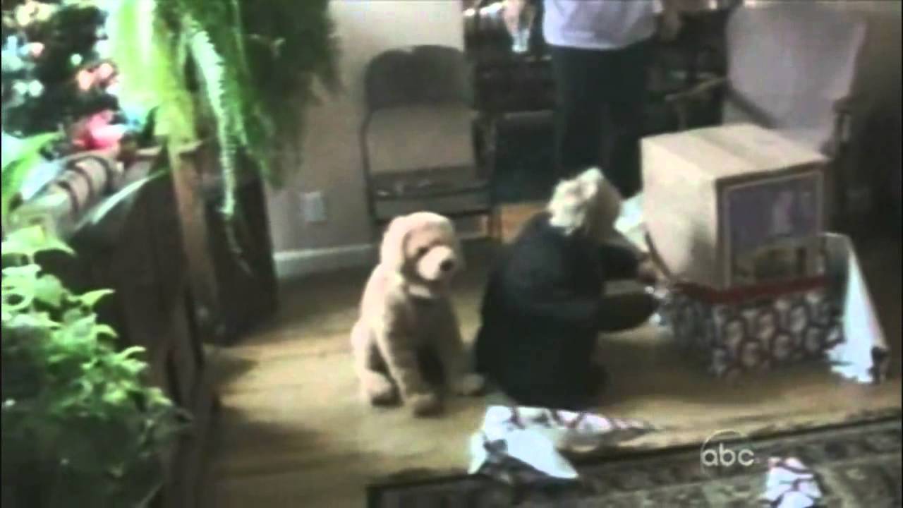 America's Funniest Home Videos 2012 PART02 YouTube