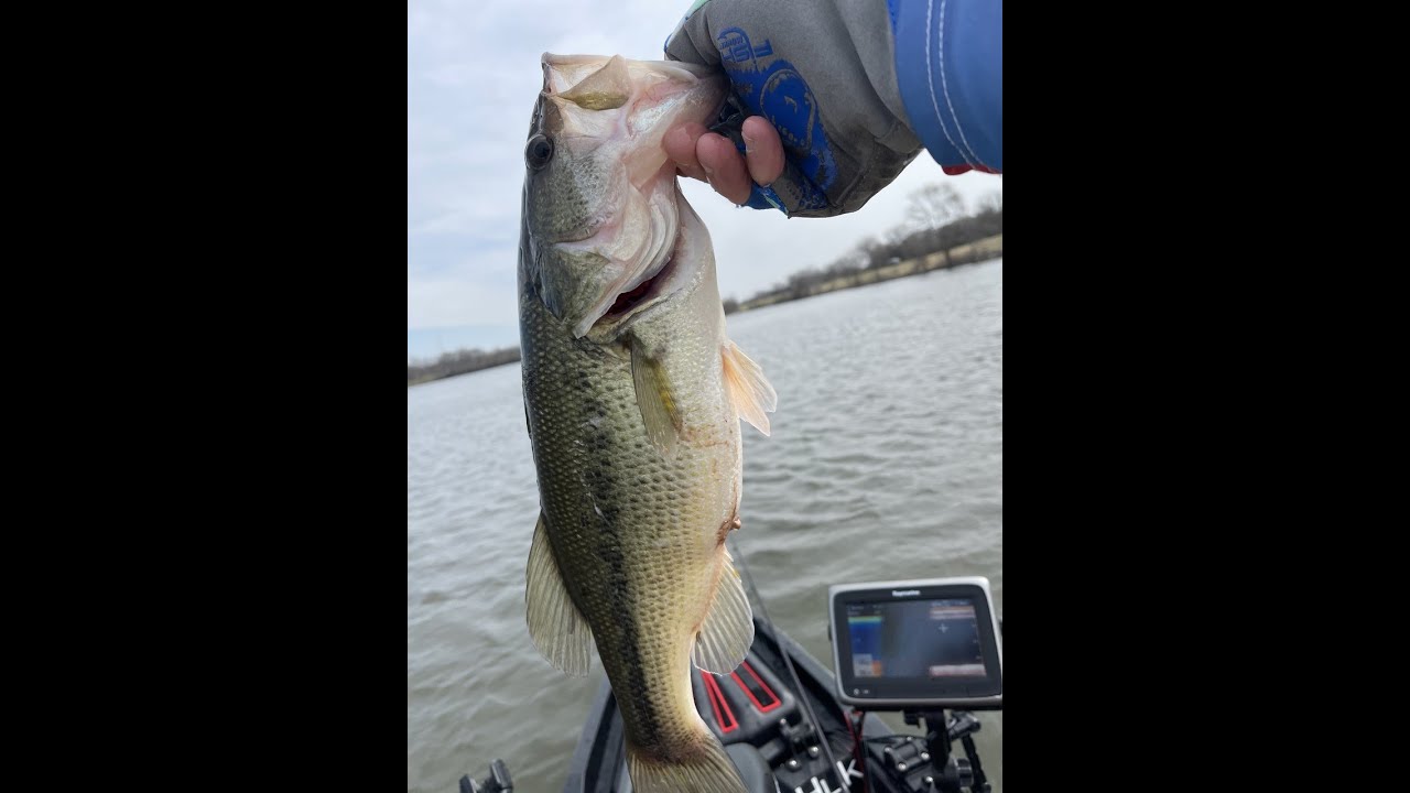 Early Spring Bass Fishing 3/2021