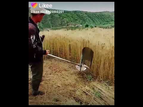 جزازه عشب قمه الروعه