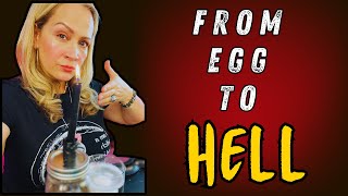 From Egg to Hell! Defend your self with this nasty easy curse.