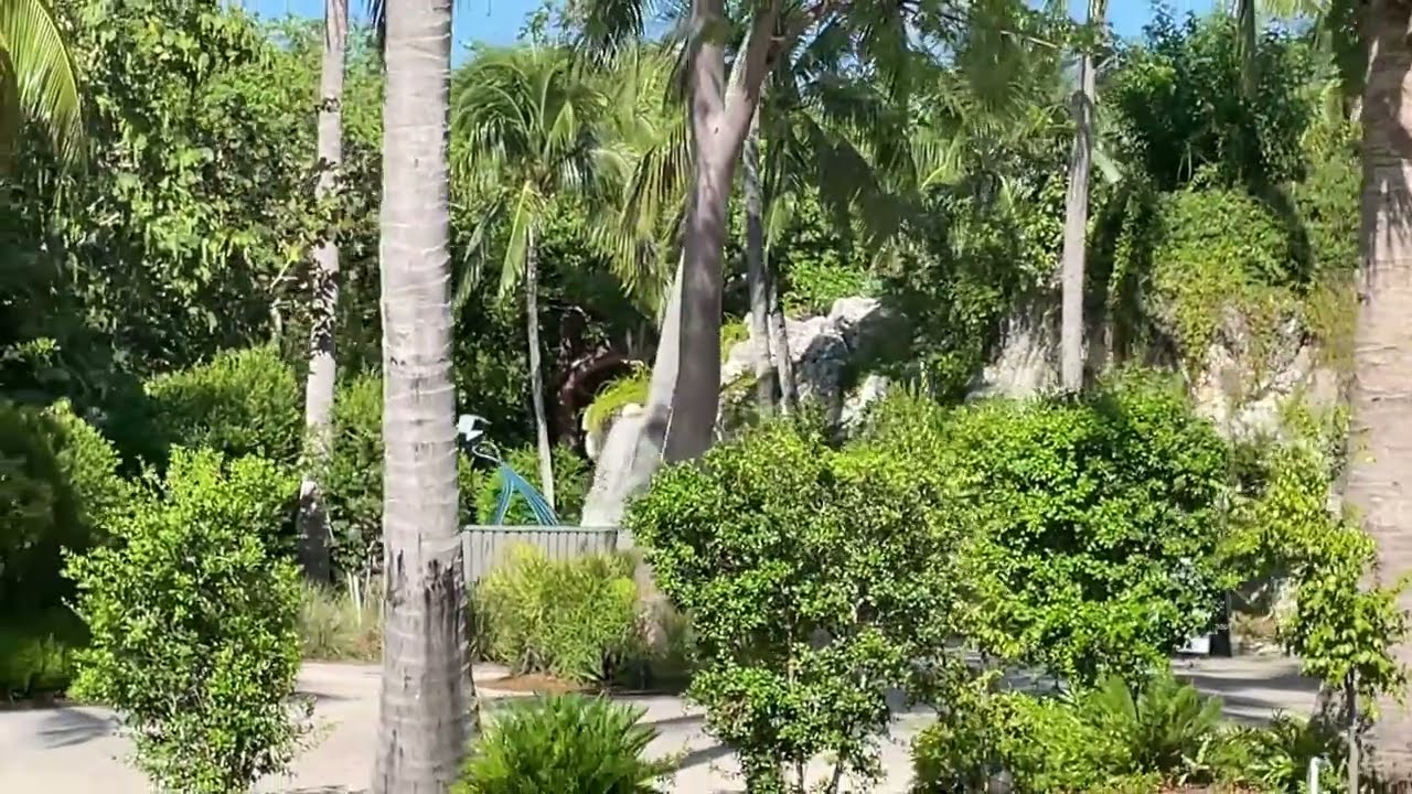Bakers Cay Resort walkaround (Key Largo, FL) 