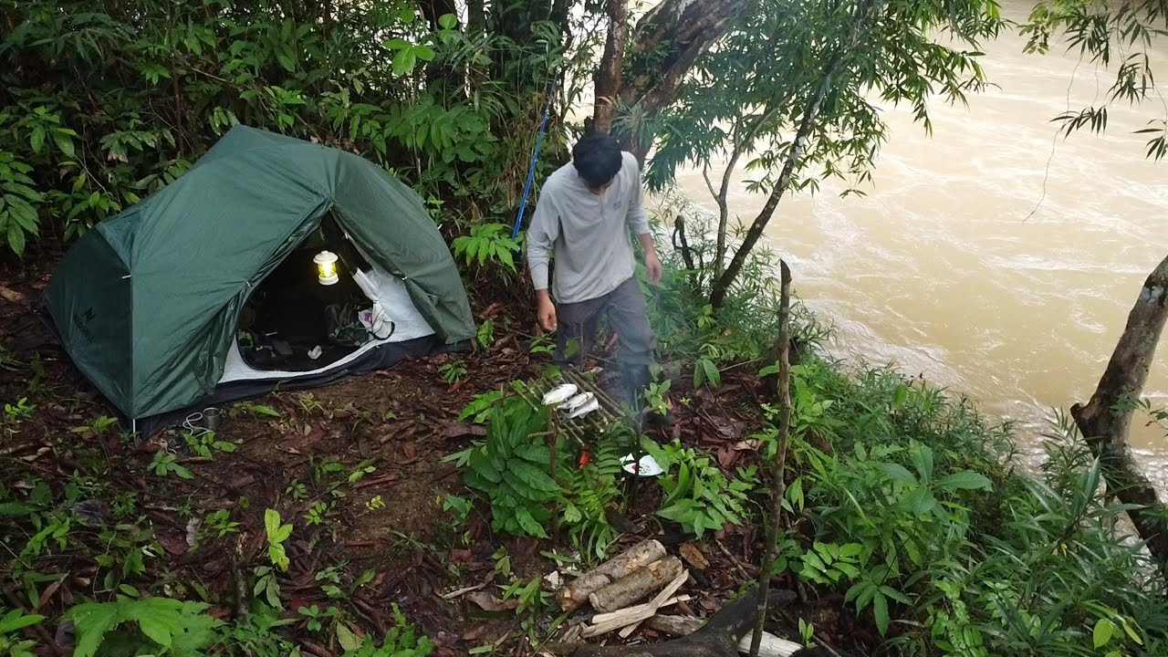 Solo camping and fishing in the habitat of wild animals in the middle of the Kalimantan forest
