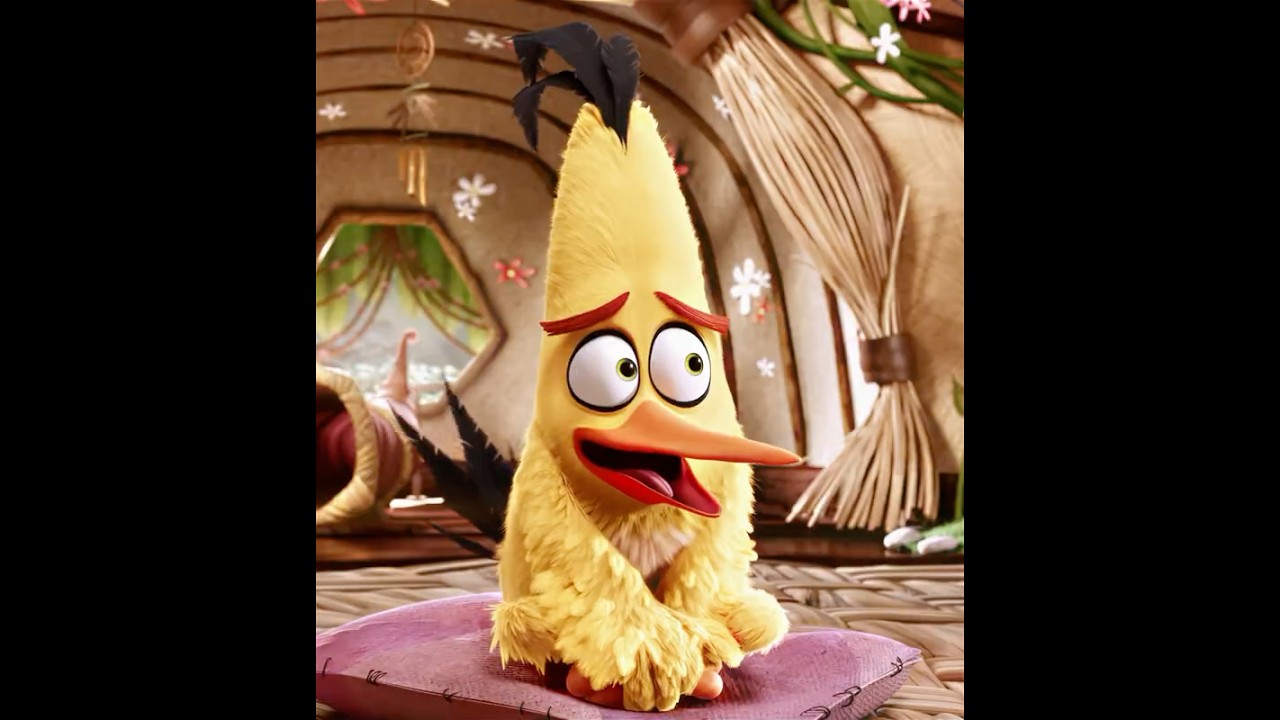 "Bro's History" ☠️🔥 | The Angry Birds Movie (2016) | 