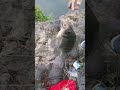 #viral #fishing