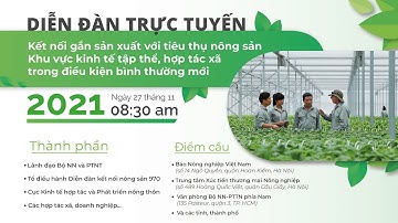 Gắn sản xuất với tiêu thụ nông sản trong khu vực kinh tế tập thể, HTX