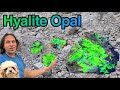 One of the BEST Hyalite Opal Claims on the Planet!
