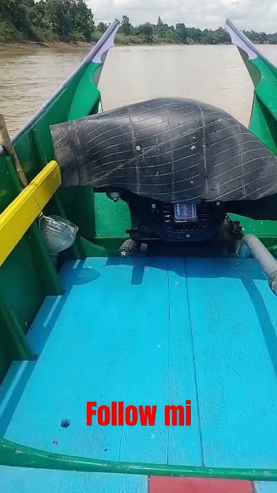 caught a fish that is starting to become extinct in the Mahakam waters #baungfishing #kucurumpanb...