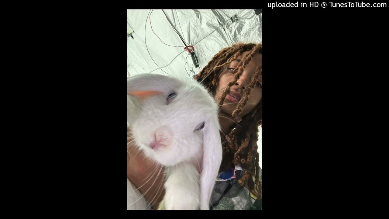 [FREE] Lucy Bedroque + Prettifun + Che + Type Beat "mansion"