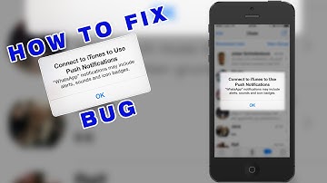 How to fix "Connect to iTunes to use Push Notfications" Bug on WhatsApp (iPhone iOS)