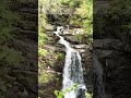 Falls of Moness #aberfeldy #waterfall #trekking #scotland #nature #beautifulnature
