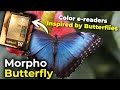 Morpho Butterfly | Color e-readers inspired by butterflies