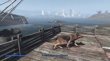 Fallout 4 - Dogmeat TRUE Dupe Glitch! (Before Patch 1.03)