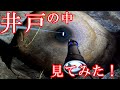 井戸の中を見てきた！
