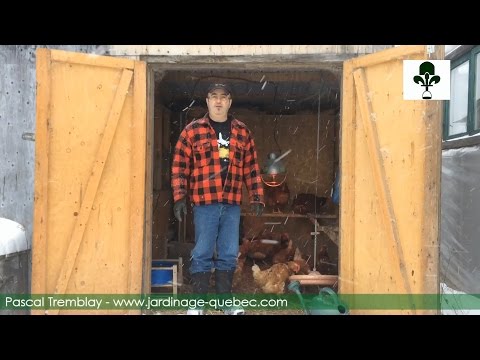 Vidéo: Comment construire un poulailler d'hiver de vos propres mains