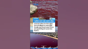 Israel S Sea Of Galilee Turns Red Algae Growth Linked To Global Warming Threatens Marine Life 