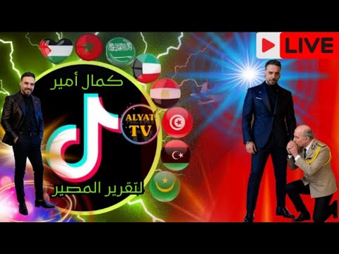 كمال أمير لتقرير مصير بوصبع الحبشي 01 12 2025 فرجة ممتعة