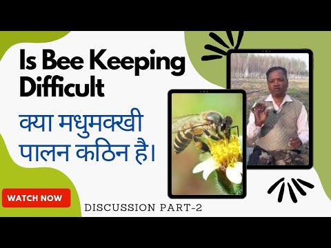 वीडियो: सफल मधुमक्खी पालन के लिए निम्नलिखित में से कौन से बिंदु महत्वपूर्ण हैं?