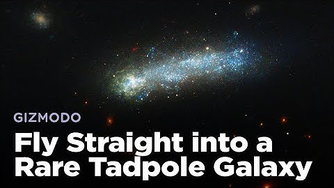 Fly Straight Into One of the Rarest Galaxies Hubble Has Ever Spotted