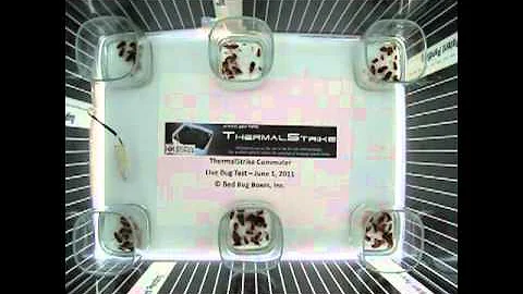 Bed Bug Heat Treatment Demo - ThermalStrike