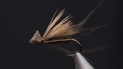 Fly Tying - CDC and Elk, a superb CADDIS imitation!