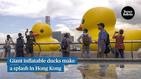 Giant inflatable ducks make a splash in Hong Kong