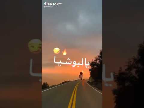 يادونسي بوشية و فونسي 