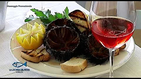 Dove si possono mangiare i ricci a Savelletri?