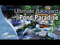 Ultimate Backyard Pond Paradise