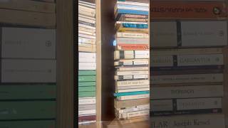 Atilla İlhan, Suat Derviş’i çok severdi.