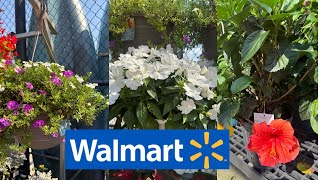 WALMART BEST NEW PLANTS ARRIVALS FOR SUMMER * HOW TO MAKE YOUR GARDEN BEAUTIFUL?