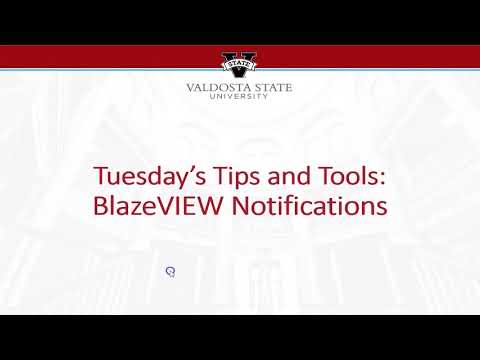 BlazeVIEW Notifications