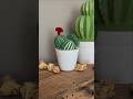 Diy cactus rocks garden  diy craft homedecor cactus paintedrocks idea