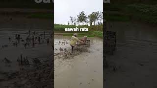 traktor gelebeg di sawah rata#tractor #shorts