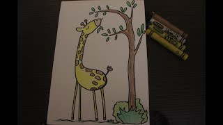 Learn About Giraffe Before We Start Drawing | Easy Drawing | Giraffe Drawing | Cute Giraffe