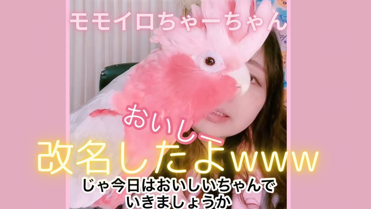 ミーちゃむ様ご相談ページ maxresdefault.jpg