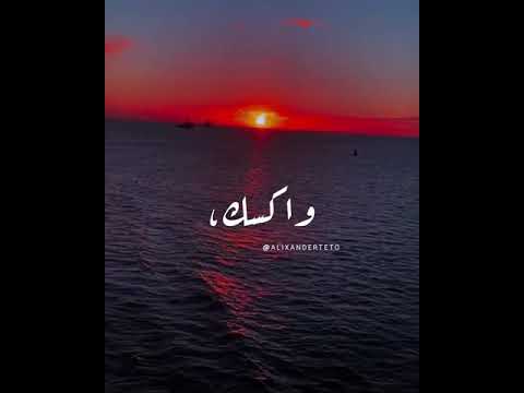 يالى عارف كل شيء واكسك