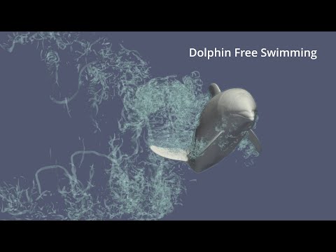 イルカのフリースイミング
