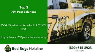 Top 3 Bed Bug Removal in Arcata