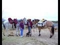 Bernice Ende   3000 Mile Long Ride