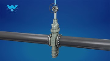 Williams API 6D Slab Gate Valve