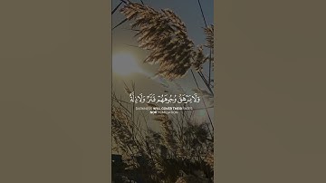 للذين أحسنوا الحسنى وزيادة | سورة يونس | القارئ عبدالرحمن مسعد #quran  #رحيق_الايمان #قرانالكريم