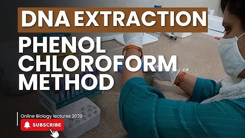 DNA extraction from Blood | Phenol-Chloroform method | Molecular biology