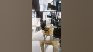 Rotational symmetry 💀 #youtubeshorts #shorts #edit