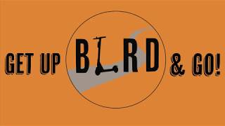 Bird Campaign - TV Advertisement