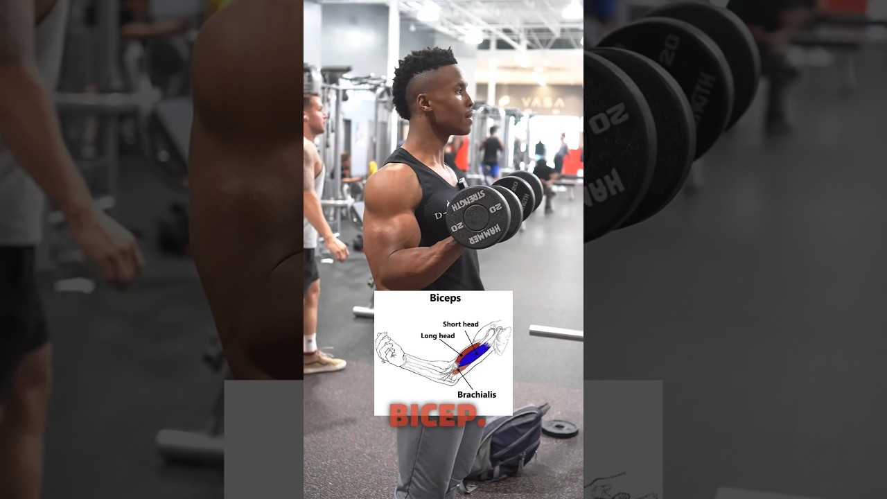 Got noodle arms? Not after this workout