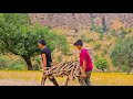 Life of the karoon family a nomadic firewood collection journey