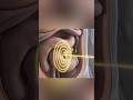 How Does Ultrasound Work? See Inside the Body in Real Time!